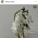 이화꽃집 이미지