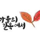 당호농장 네이버블로그