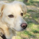 알파동물병원 이미지