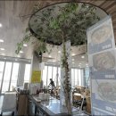 바다회직판장 이미지