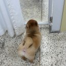 멍글하우스 이미지