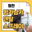 매일 양치 버거울 때 딱, 우리들의반려생활 덴탈스프레이 후기