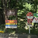 앙암로 | 충주 취사 가능 애견 동반 가능 계곡 천연 워터슬라이드 학바위 계곡