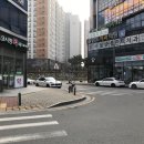 에코사랑약국 이미지