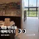 첫눈속눈썹&네일 | [세종속눈썹] 임뷰티 네일속눈썹왁싱 :: 화장 시간 반...줄여주는 세종시속눈썹펌 대만족 후기! (ft...