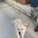 배산공원 주차장 이미지