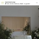 🤍 [니어무드] 아이폰 본식 스냅 계약후기