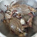 수안보 인공 암벽장 화장실 | [부안 변산반도] 1박 2일 조개캐기 / 전라북도 인공 암벽장 / 고소롬베이커리 / 연미향