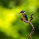 자연의모든것 이미지