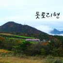 일본 돗토리현 다이센국립공원 자전거투어 이미지