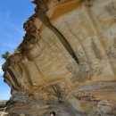 세라농장(2농장) 이미지