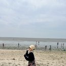 측도아라 이미지