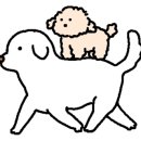 둔포애견 이미지