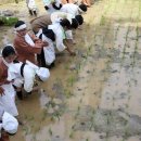 서울미동초등학교 이미지