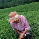 오리와 장어 이미지