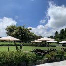 나이스 안마원 이미지