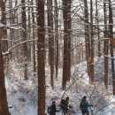 [경춘선변의 명산들] 2.마석역 기점 천마산 르포 이미지