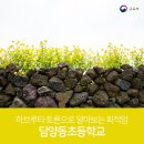 담양동초등학교 | 하브루타 토론으로 알아보는 퇴적암 / 담양동초등학교