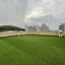 딩동댕독 이미지