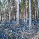 김학철농장 이미지