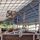 경보축산 이미지