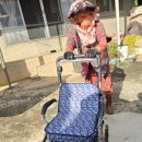 편한보조기 이미지