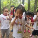 청미래약국 이미지