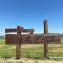 신성리갈대밭습지생태길 | 신성리갈대밭 천천히 걷기 좋은 산책 명소