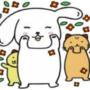 중앙농약사 이미지