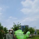타이거슈가 신세계의정부점 버블티 마셔봄