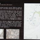 덕진-17 이미지