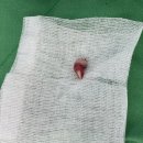 잠실베스트동물병원 수술재활센터 이미지