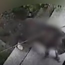 주서농장 Daum카페