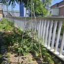 수다쟁이숲어린이집 이미지