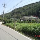 파주의 산 삼봉산(282m)과 비학산(454m) (2009년 9월 2일) 이미지