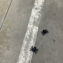 거제셀프세차장 이미지