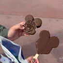 한마음 농장 | 앱콧 - 올랜도 디즈니월드 후기 (어트랙션 탑승 순서/시간 정리)