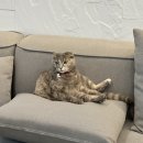 호텔 상상 | 거제도 숙소 추천, 호텔 상상, 내돈내산 후기