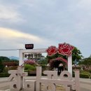이쁘니 이발소 | 삼척 가볼만한 곳 2026 삼척장미축제 오픈런 행사일정 애견동반 정보