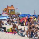 바글바글 이미지