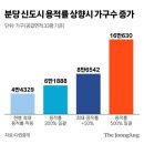 분당-184 이미지