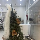993 | [영통속눈썹펌] 펌과 연장을 한번에 하는 LED속눈썹펌 미친(P) 후기