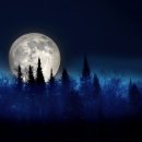 정선한의원 이미지