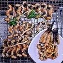 풍천남도 민물장어 이미지