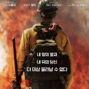 &lt;온리 더 브레이브&gt;소개,핫샷,자연의 분노와 개인의 투쟁,후기