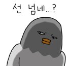 마이우주 이미지