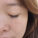 느보속눈썹지축본점