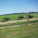 대평원목장 이미지