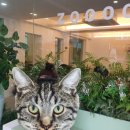 줍(zoooop) 이미지