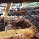 서명농장 이미지